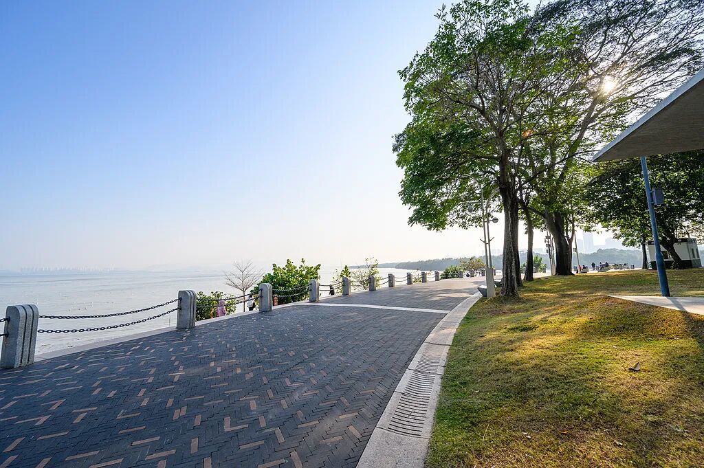 深圳湾公园绿道 图/视觉中国