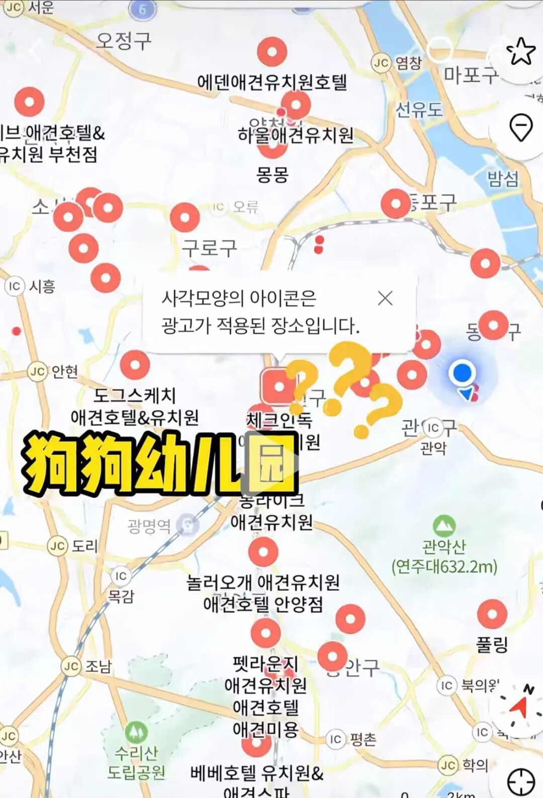 韩国超高密度的狗狗幼儿园。(图/视频截图)