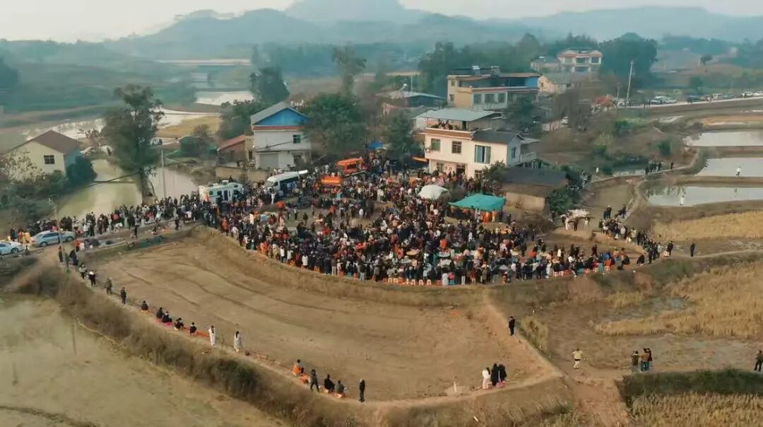 1月11日下午,呆呆家宴会。(图/网络视频)