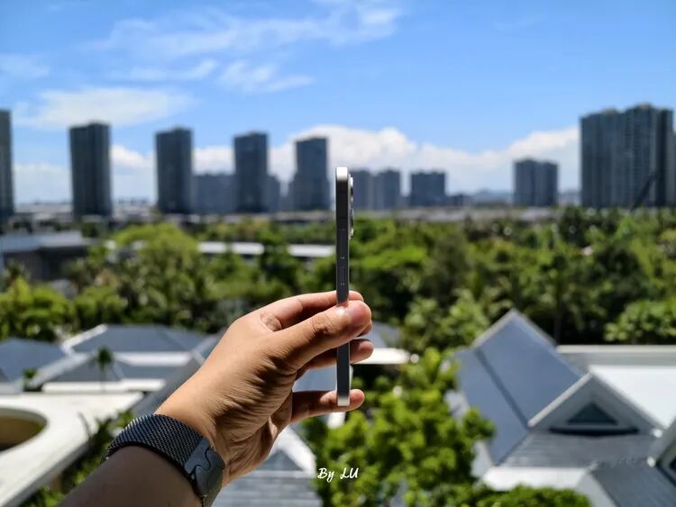 图源:不客观实验室