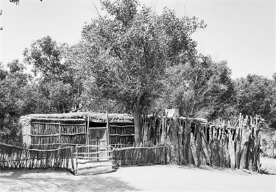 达里雅布依老村的“笆子房”。　　于田县委宣传部供图