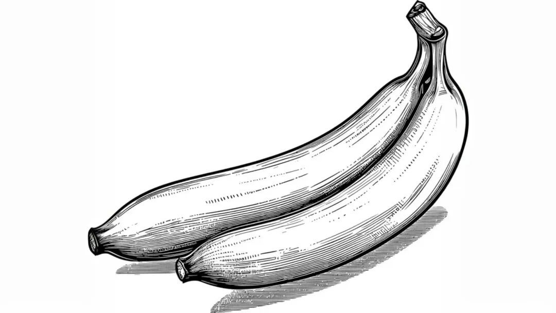 他们认识香蕉也认识黄色,却不知道香蕉是黄色的丨图虫创意