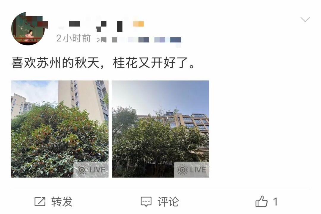 微信图片_20261014102142.jpg