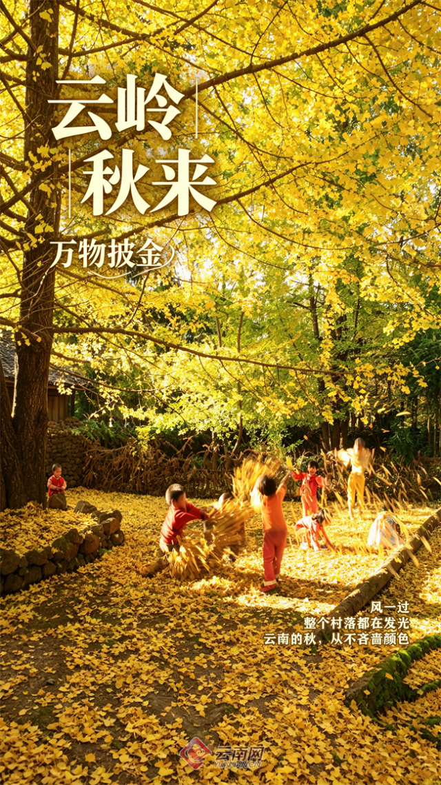 秋天视22觉海报设计_副本.png