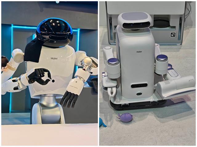 特斯拉不是最牛!这届AWE“狗”比“人”多,机器人到家了?