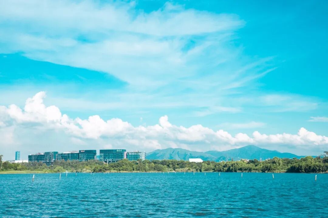 20190726_1564135531_1425_8644_7223_635.jpg