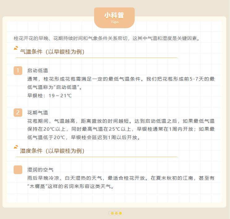 桂花开花条件.png