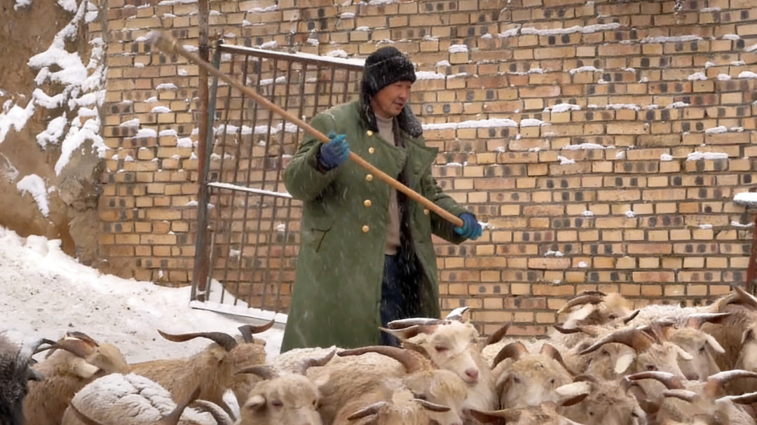 5位归乡者,和被屏幕照亮的山野