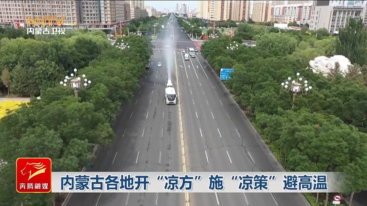 视频截图