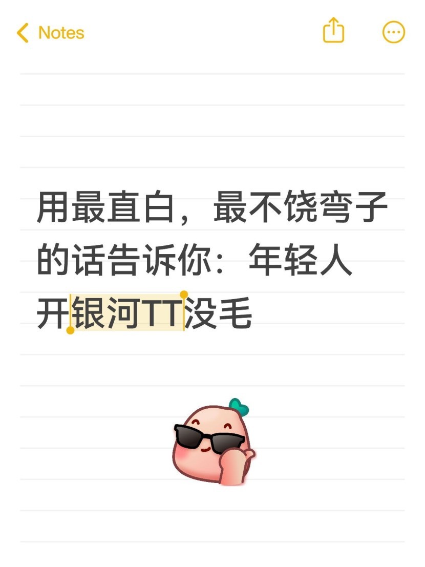 用最直白，最不饶弯子的话告诉你：年轻人开银河TT没毛