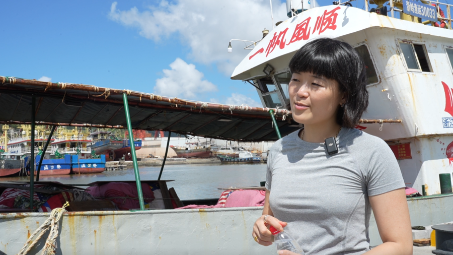 仲树在海边