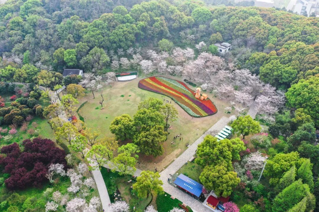 摄图网_501588474_banner_苏州上方山国家森林公园（企业商用）.jpg