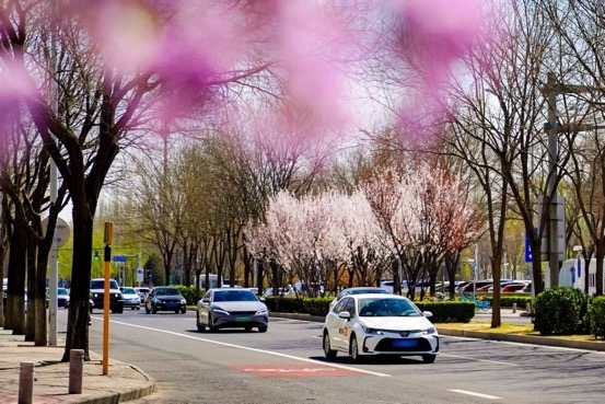 清明出行变样了:滴滴异地打车涨41% AI打车翻近一倍