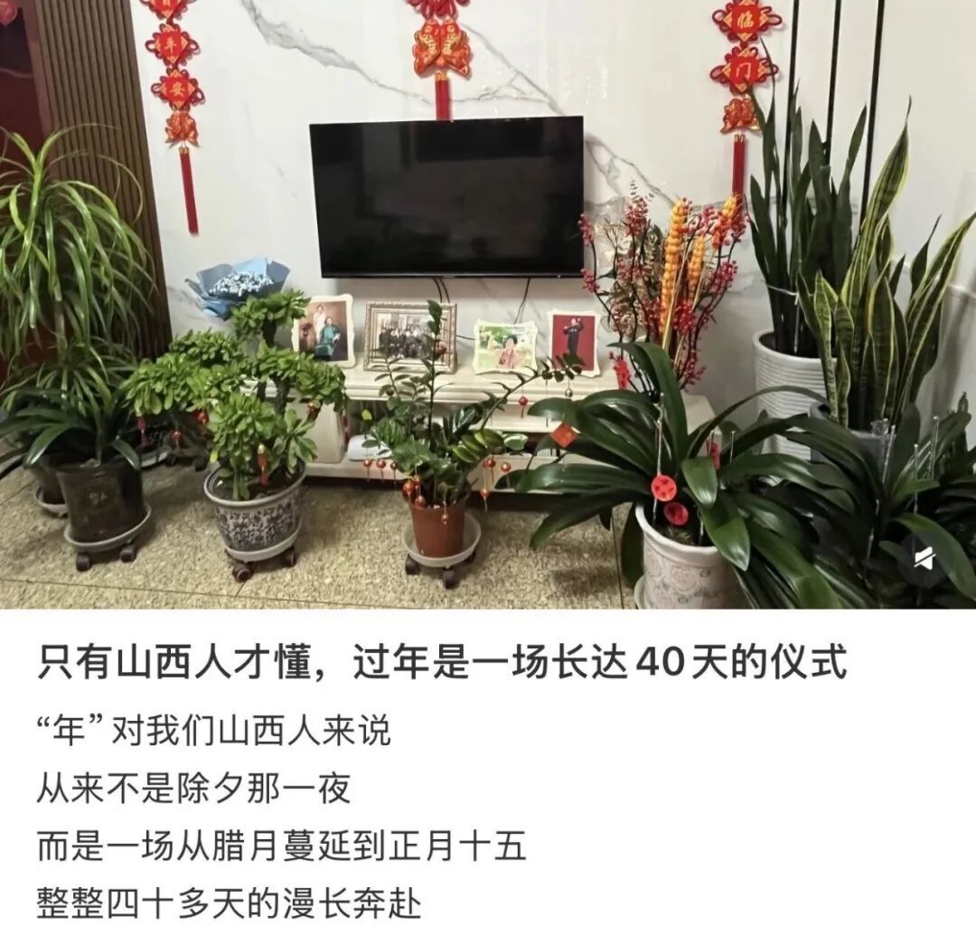 〓 图源小红书用户@脆脆沙