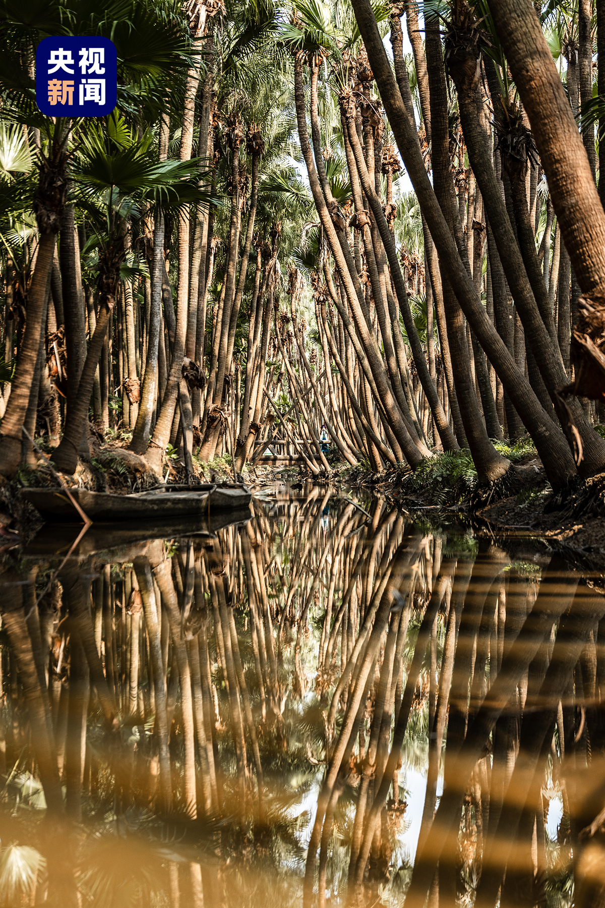 视频丨五一假期，跟着电影打卡粤港澳，太好拍了！