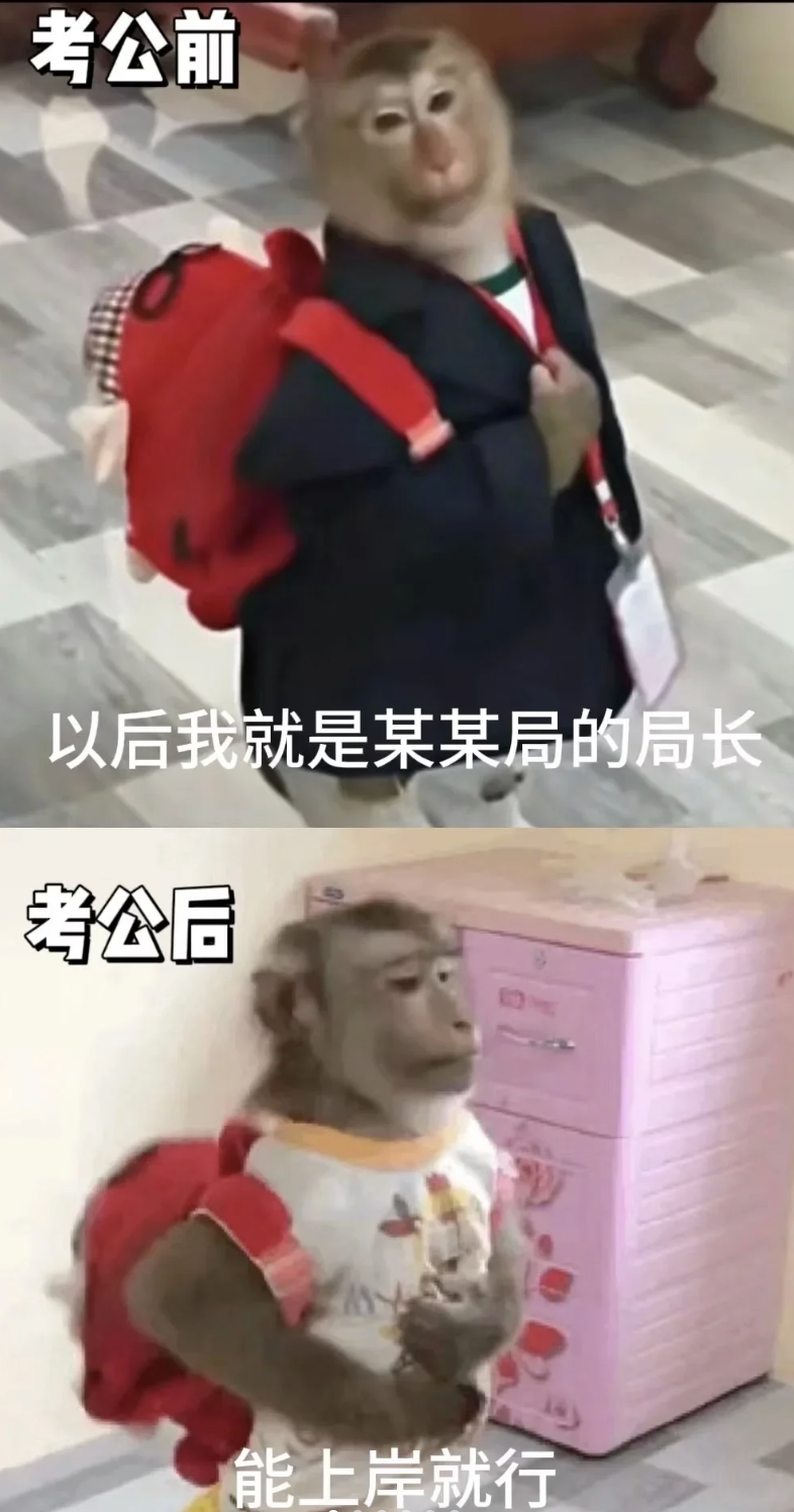 中年考公“三件套”,一年狂捞270亿?