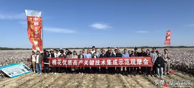 9月29日，新疆昌吉国家农业高新技术产业示范区老龙河综合试验基地千亩示范方，专家测产现场。 图片由中国农业科学院西部农业研究中心提供