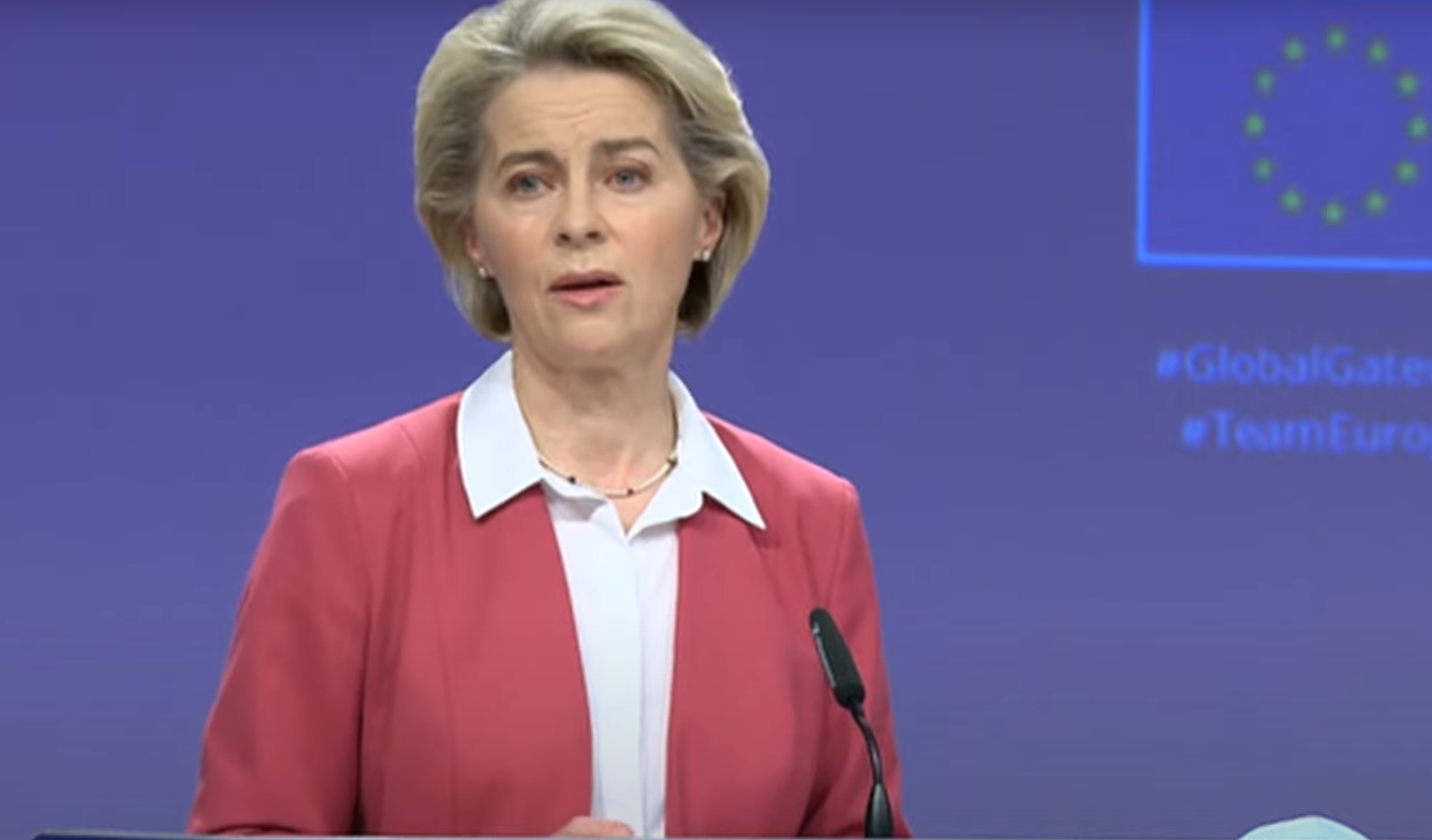 冯德莱恩2021年12月公布“群众家数”筹划 视频截图