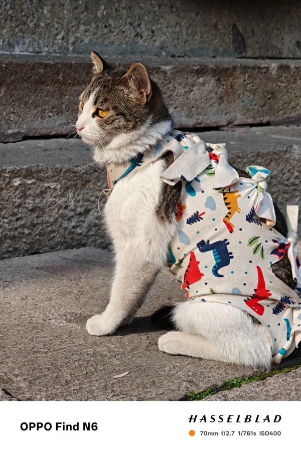 超越行业老大哥！OPPO的新折叠屏好像真的感受不到折痕了