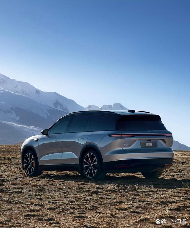 蔚小理，开始分道扬镳？-有驾