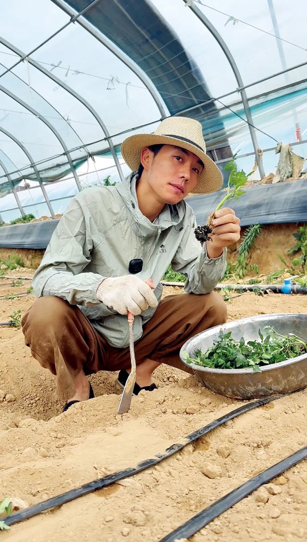 张小磊一边种辣椒一边做自媒体。图/受访者提供