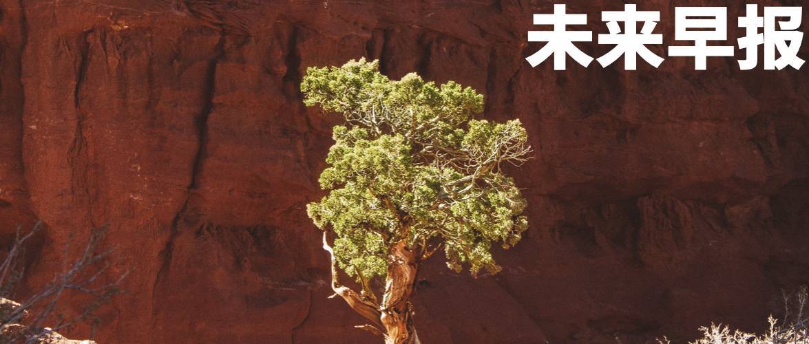 早报|更便宜的MacBook有望本周发布/荣耀机器人手机正式亮相/小米徕卡手机国行版官宣