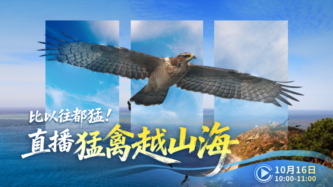 d01e871e043eceeb34dce0a0c7e9b465.png