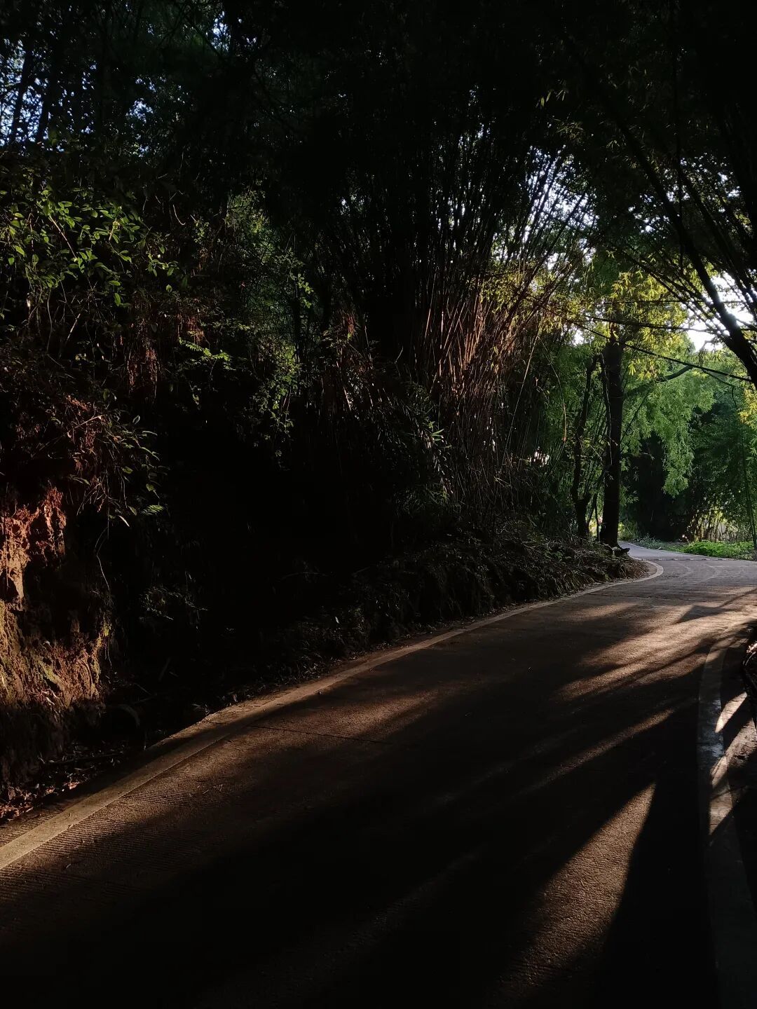 去往雨后大地农场的上山路 | 受访者供图