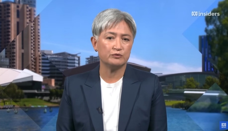 澳大利亚外长黄英贤 视频截图