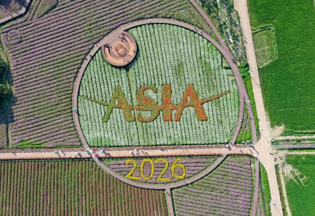 3月17日拍摄的琼海市博鳌镇南强村花海(无人机照片)。新华社记者 郭程 摄