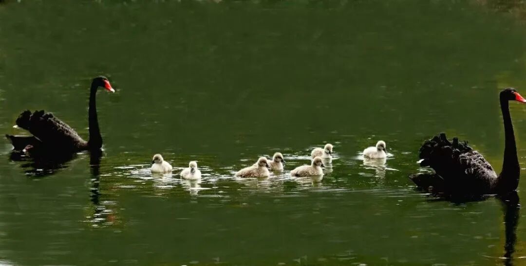 4f77b7e875a4db0f97f7de525cc80f03.jpg