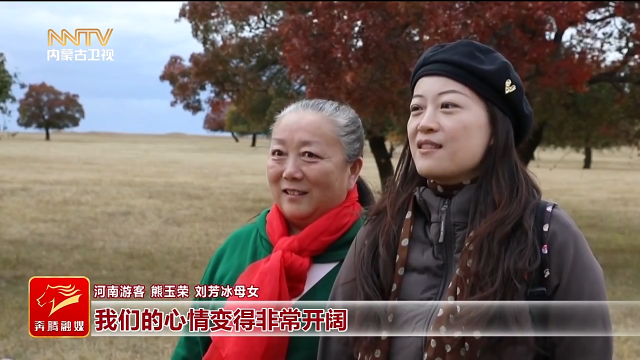 视频截图