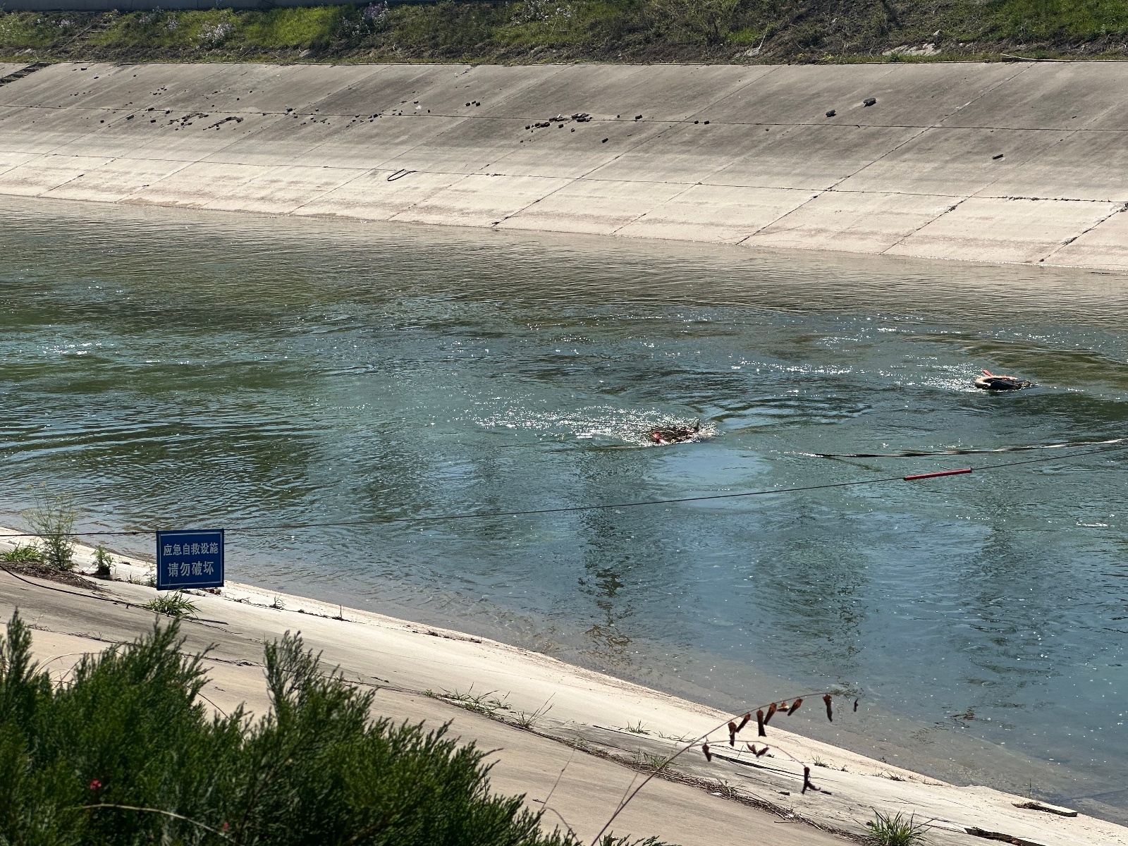 微信图片_20260412132526_389_91