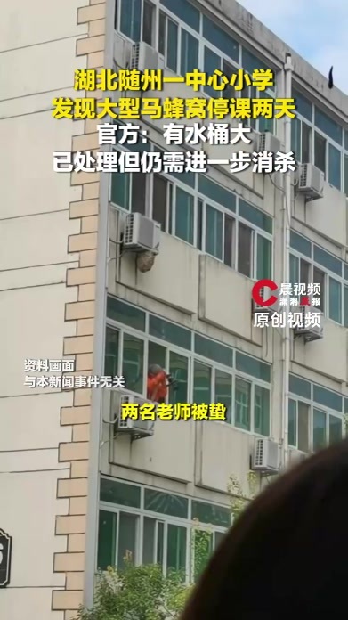 湖北随州一中心小学发现大型马蜂窝停课两天，官方：有水桶大已处理，但仍需进一步消杀