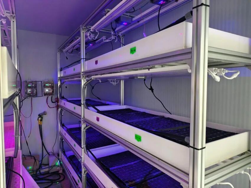 长光吉芯研发的激光农业照明设备。长光吉芯供图