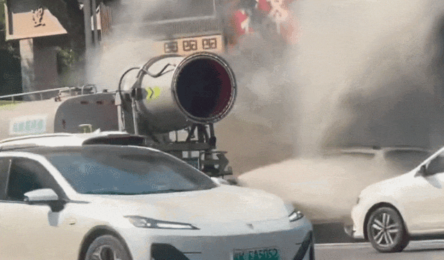 GIF.gif