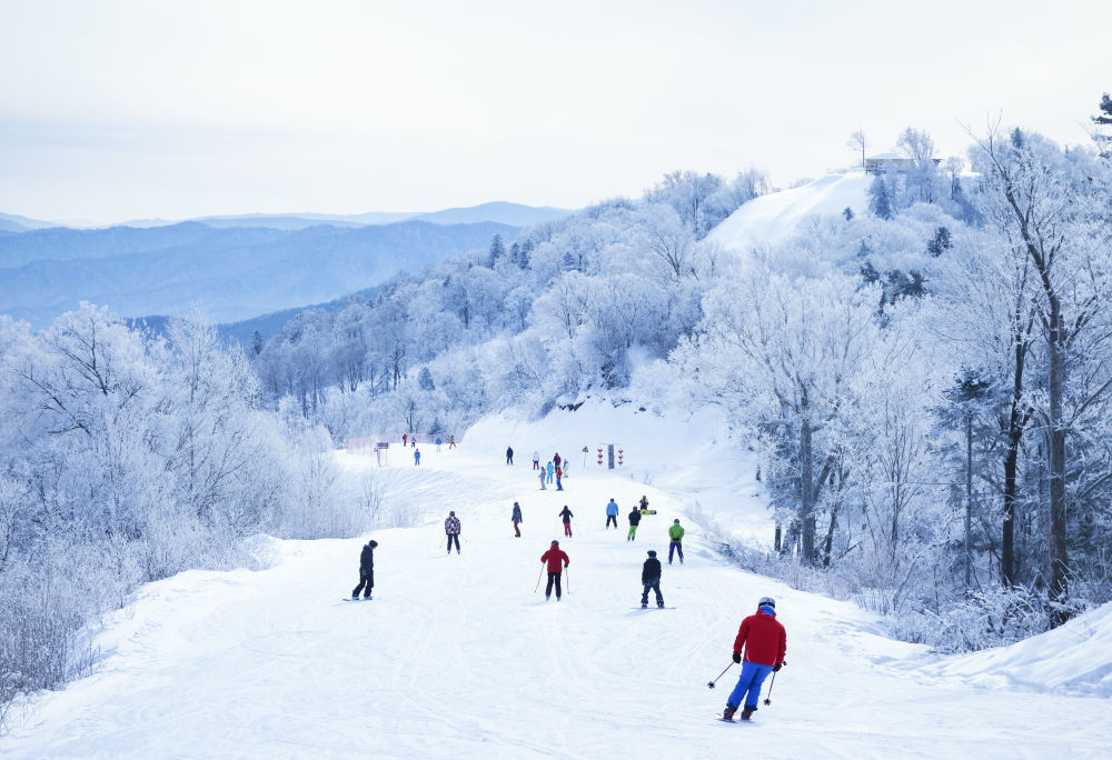 2025年11月18日，人们在黑龙江省亚布力滑雪旅游度假区体验滑雪。新华社发（杨晓冬摄）