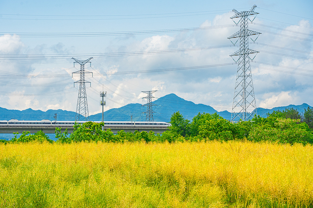 2025年5月9日，安徽黄山，一列和谐号动车驶过合福高铁，与农田、铁塔、蓝天、白云相映成趣，构成一幅快速发展的美丽画卷。
