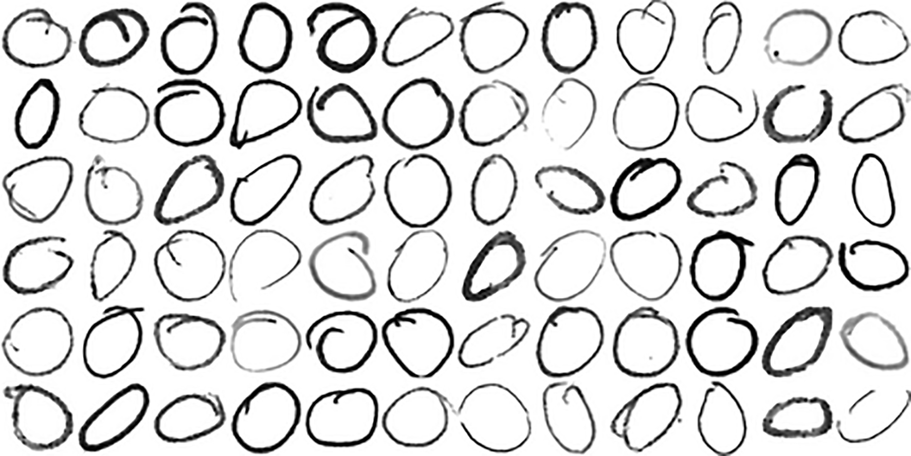 CircleID竞赛的手绘圆圈扫描图 （受访者提供）