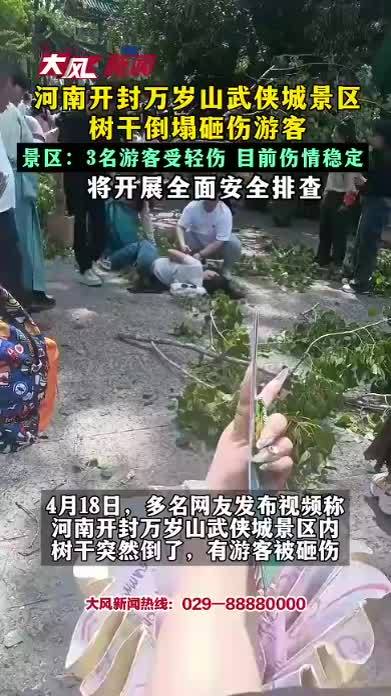 河南开封万岁山武侠城景区 树干倒塌砸伤游客 景区：3名游客受轻伤 目前伤情稳定 将开展全面安全排查