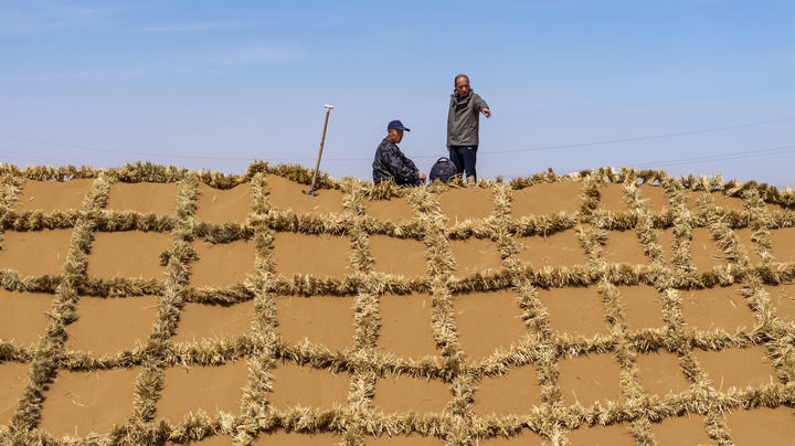 唐希明（右）在位于宁夏中卫境内的腾格里沙漠东南缘指导工人铺设刷状网绳式草方格（2026年4月10日摄）。新华社记者 王鹏 摄