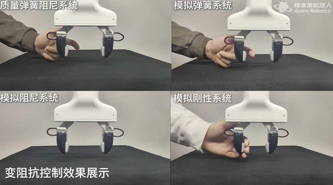 图｜来源于小红书博主@橡木果 AcornRobot