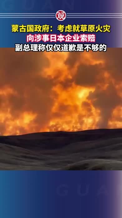 蒙古国政府：考虑就草原火灾向涉事日本企业索赔，副总理称仅仅道歉是不够的
