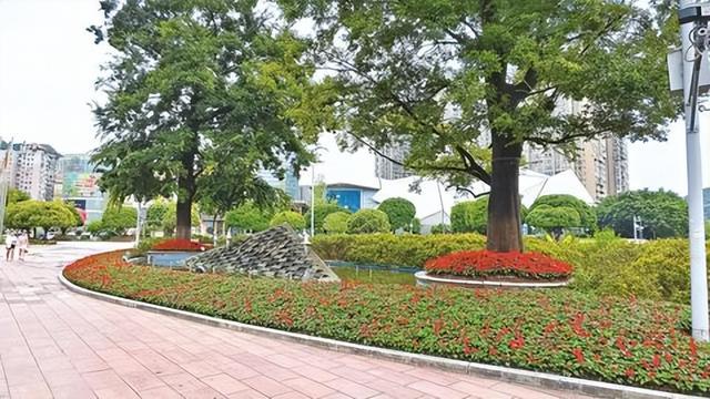 街头鲜花生机盎然。