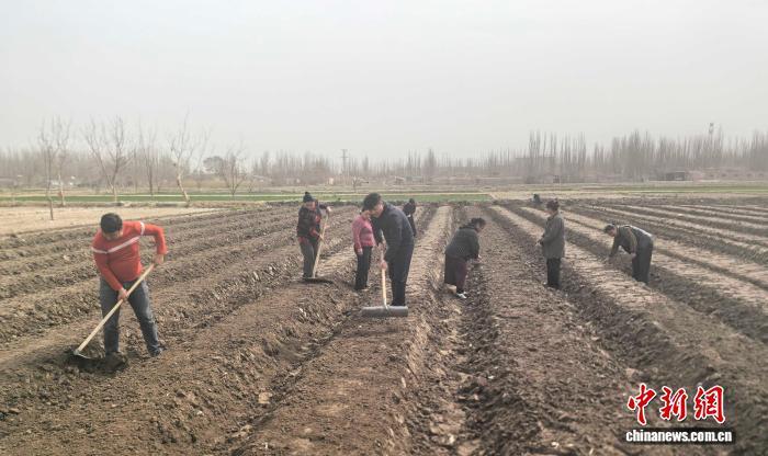 杨永鹏(中)与种植户一起春耕。受访者供图
