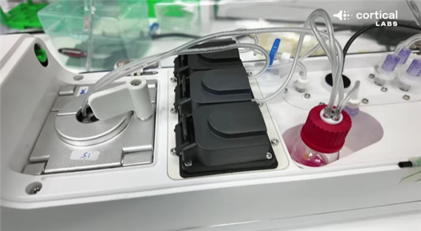 20万个活体人类神经元在电脑芯片上激活!竟然能自己玩《毁灭战士》游戏