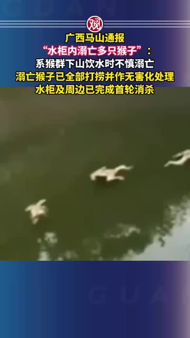 广西马山通报“水柜内溺亡多只猴子”：系猴群下山饮水时不慎溺亡，溺亡猴子已全部打捞并作无害化处理，水柜及周边已完成首轮消杀