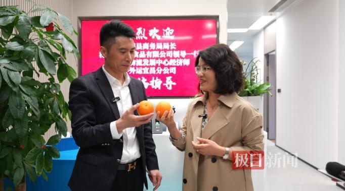 QQ_1775812088971.png