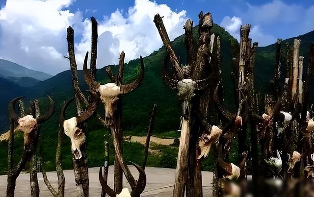 建国后佤族仍用人头祭祀，主席：人头就不要用了，用其他东西代替