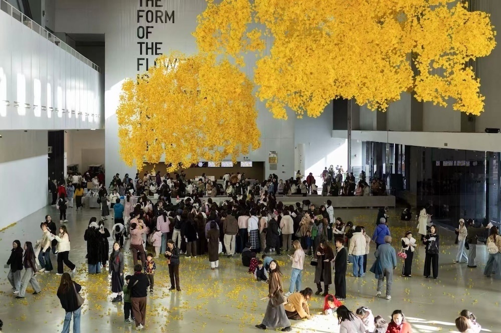 第十五届上海双年展，阿洛拉和卡萨迪利亚作品《森之幻影》，上海当代艺术博物馆